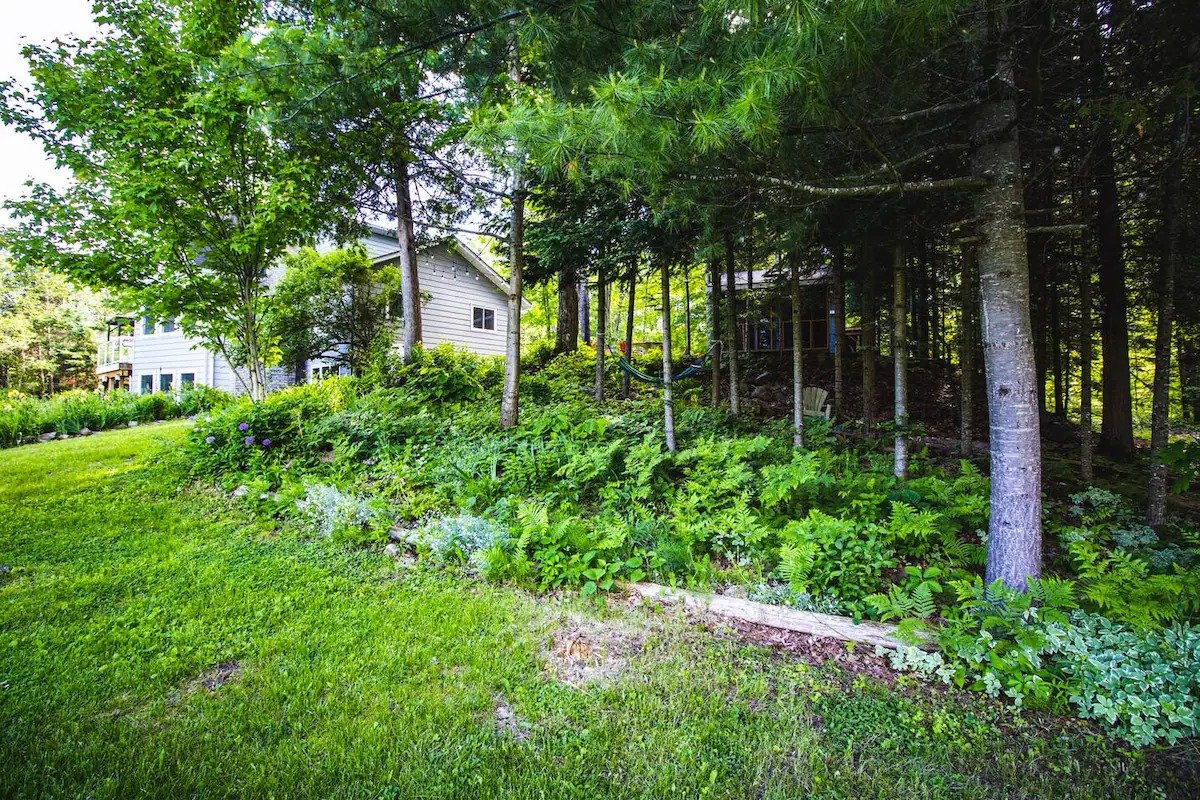 imgi_204_e001dcc8-d42a-4f73-947e-a2c2b3ad8e87