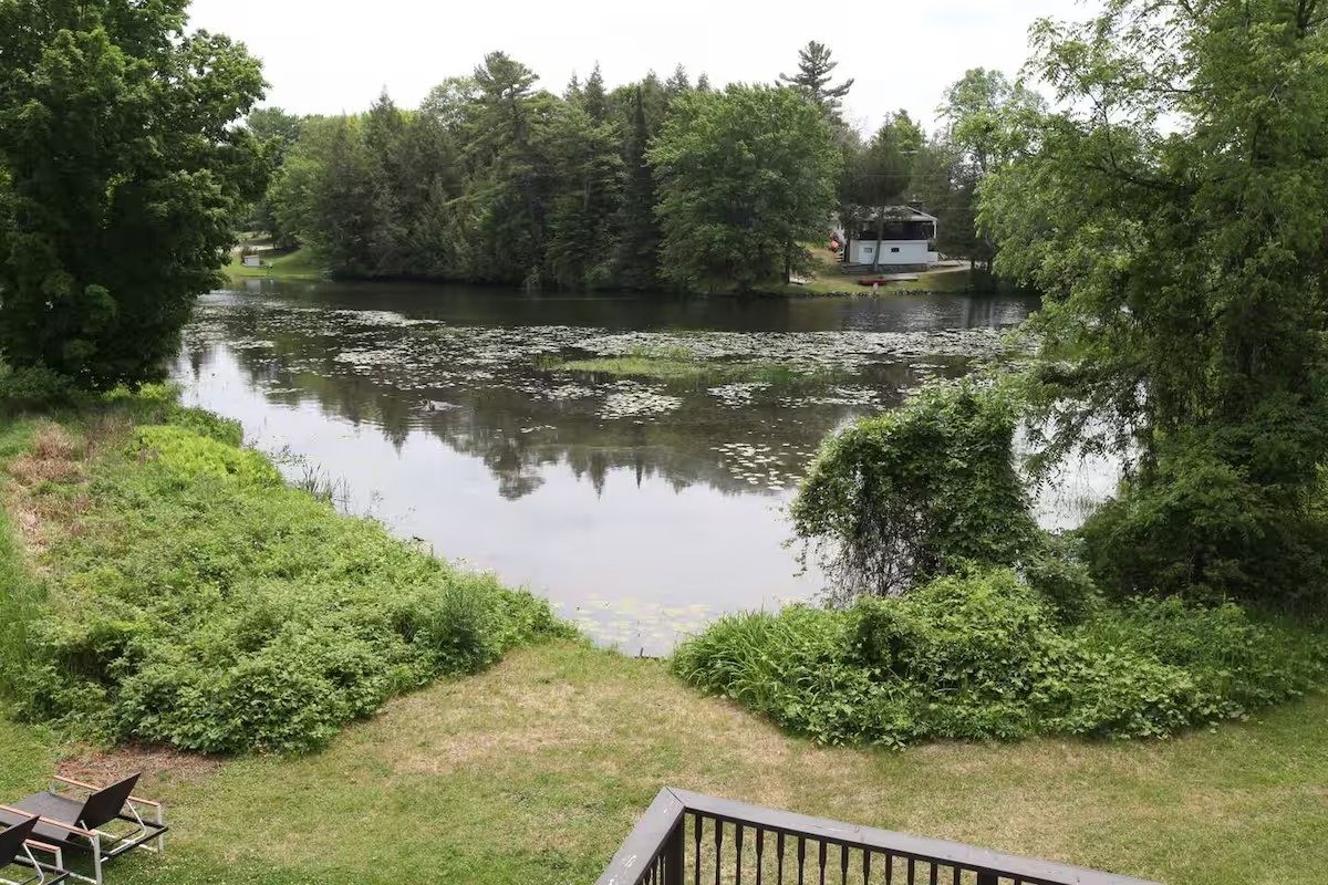 imgi_63_66a72175-326a-49b7-aefc-5107c617ff56